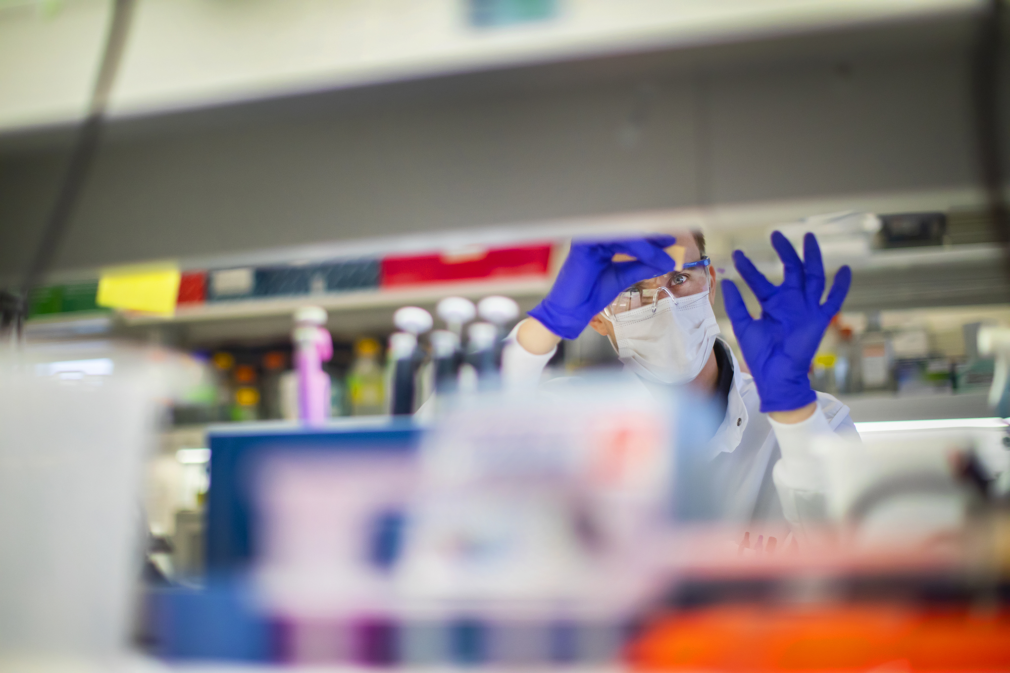 a technician looks closely at a microscope slide at a lab bench